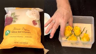 How To Dry Flowers Fast Using Wisedry Silica Gel Crystals