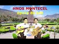 Hnos Montecel Epoca de oro  Música Sentimiento y Poesia