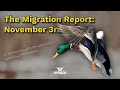 The Migration Report: Wisconsin Waterfowl Updates - November 3rd