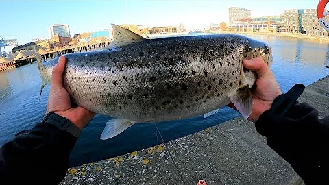 Får man fiska i Göta älv?