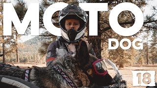 S01-E18 🇺🇸 Sweet poison, Jess! Travel with dog adventure riding off-road into the Los Olivos hills