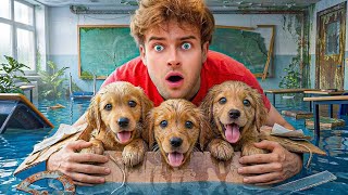 I Found 10 Lost Puppies At School!