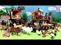 Fun Farm Animal Toys Video
