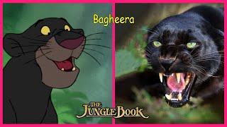 The Jungle Book Characters IN REAL LIFE 👉@WANA Plus