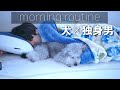 🐶犬と27歳独身男性の一軒家二人暮らしの自粛中モーニングルーティン【トイプードル】【モーニングルーティン】