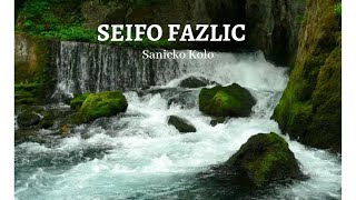 Seifo Fazlic - Sanicko Kolo