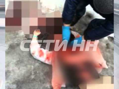 Убитые девушки в н новгороде фото Убитые девушки в н новгороде фото