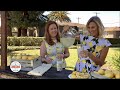 Lemonade Day on &quot;Living Local&quot; Featuring Fresh Squeezed Limoneira Lemons
