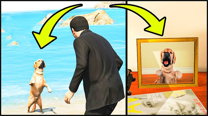 HO TROVATO il CANE SCOMPARSO di MICHAEL (Ultimo Aggiornamento) | GTA 5 ITA [Easter Egg]