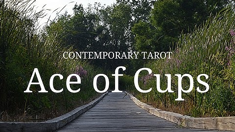 Ace of Cups: Description in 3 Minutes