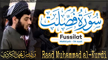 041 Surah Fussilat | سورة فصّلت by Raad Muhammad al-Kurdi | رعد محمد الكردي