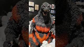 Burning Godzilla at Awaji Island