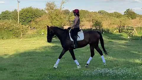 Hayley Ward & celestial vision elementary 50
