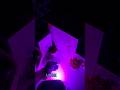 PARTY LIGHT JBL BEAM REVIEW🔦🎆 #jbl #lamp #speaker #newyear #party #light #jblspeaker