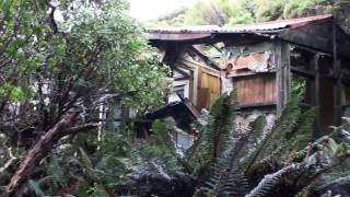 Carnley Harbour, Auckland Islands - Silver Discoverer