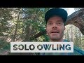 Solo Owling - Wildlife Photography (Sort Of) in Grand Teton National Park