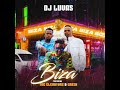 DJ Luvas - Biza