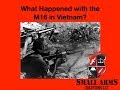 What Happened with the M16 in Vietnam?