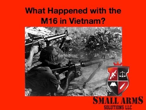 The M16's Iconic Journey \u0026 Springfield's SA-16 A2 Review!
