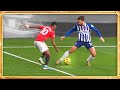 The Art Of Panna 2020 • Nutmegs Show