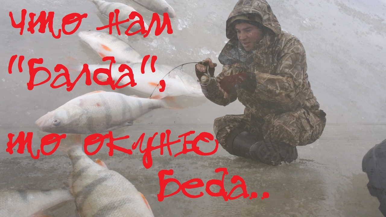 зимняя рыбалка ловля окуня на балду видео