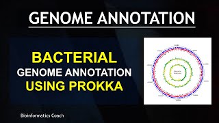 Bacterial Genome Sequence Annotation with PROKKA | genome annotation in bioinformatics