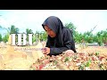 IBU - SHORT MOVIE INSPIRATION |20-02-2020|