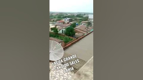 Lagoa Grande alagada! #candido Sales Ba em alerta 🚨