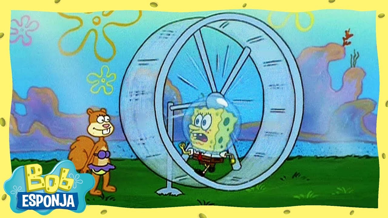 Rotina de treino da Sandy | Bob Esponja em Português