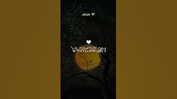 💫 “سيجعل الله بعد عسرٍ يُسرًا” 💔🌤️ تلاوة تهز القلب بصوت ماهر المعيقلي | راحة وسكينة من القرآن الكريم