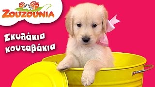 Ζουζούνια - Σκυλάκια Κουταβάκια | Nέο Παιδικό Τραγούδι chords