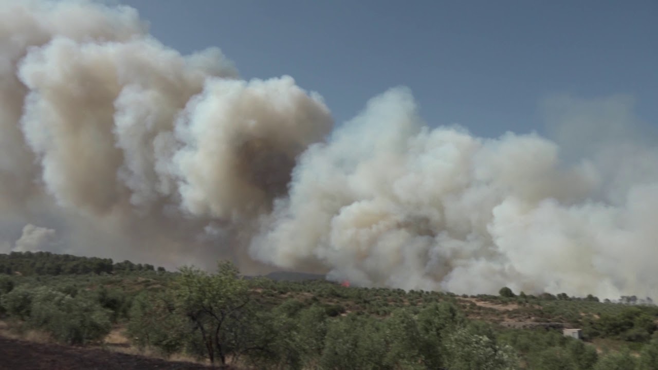 INSTRUCCIONS: COMUNICACIONS