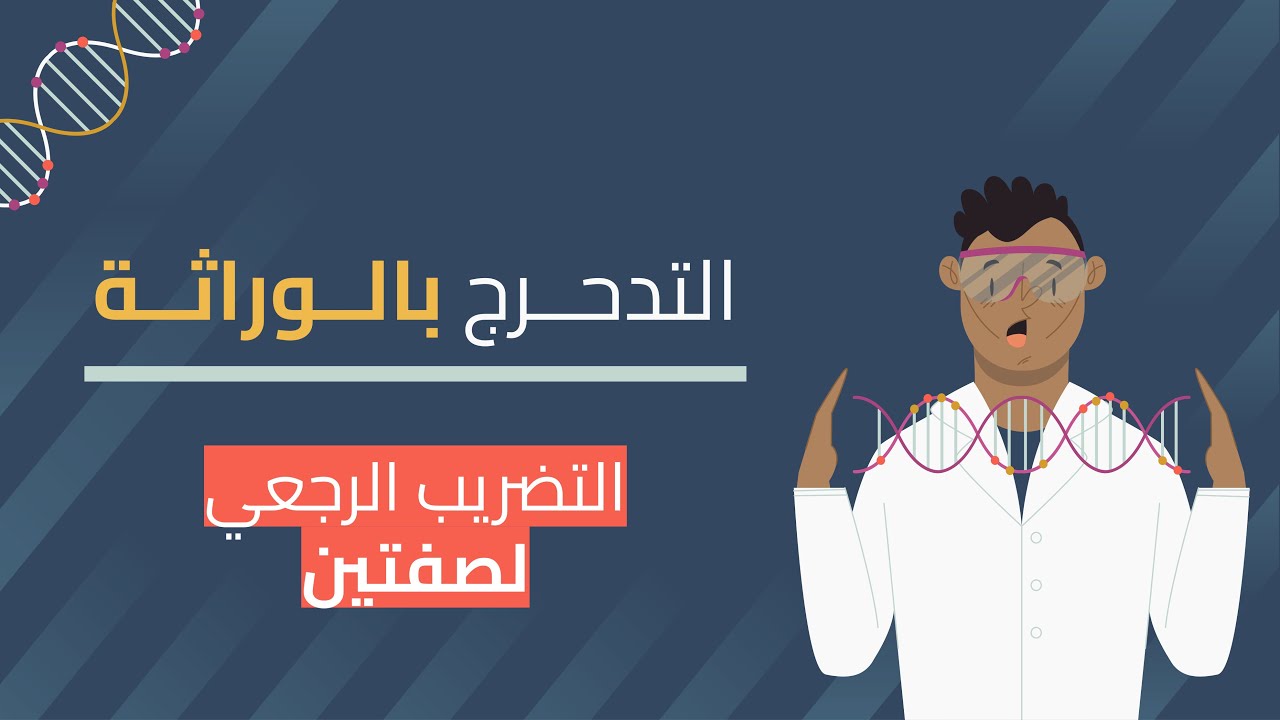 التدحرج بالوراثة | التضريب الرجعي لصفتين