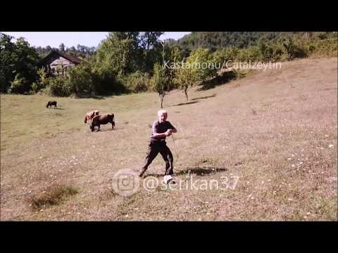 Drone gören masum amca SESLi çekim anı. Shepherd sees drone for first time,tries to attack@serikan37