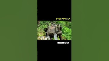 Thumbnail of 김길자 정선아리랑(애정편-열정) 금전이 중하거든 네 멋대로 가고 #정선아리랑3대 #정선아리랑 #아리랑 #긴아리랑 #자진아리랑 #엮음아리랑