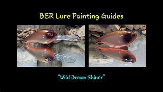 Wild Brown Shiner Ber Lure Painting Guides
