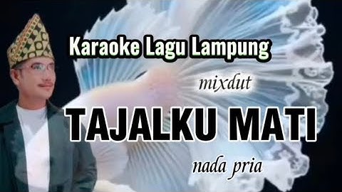 TAJALKU MATI Karaoke Lagu Lampung mixdut nada pria voc. Alam Limau cipt. Winda Sanjaya 
