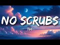 Tlc  no scrubs lyrics