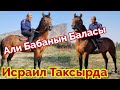 Таксырдан Күчтүү Ат👍6 сентября 22/сын Али Баба