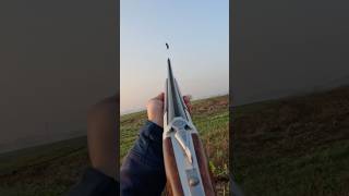 Yildiz SPZ-M cal. 20 e cartucce Nobel Sport🔥 contenimento cornacchie in Zrc🔥 #hunting