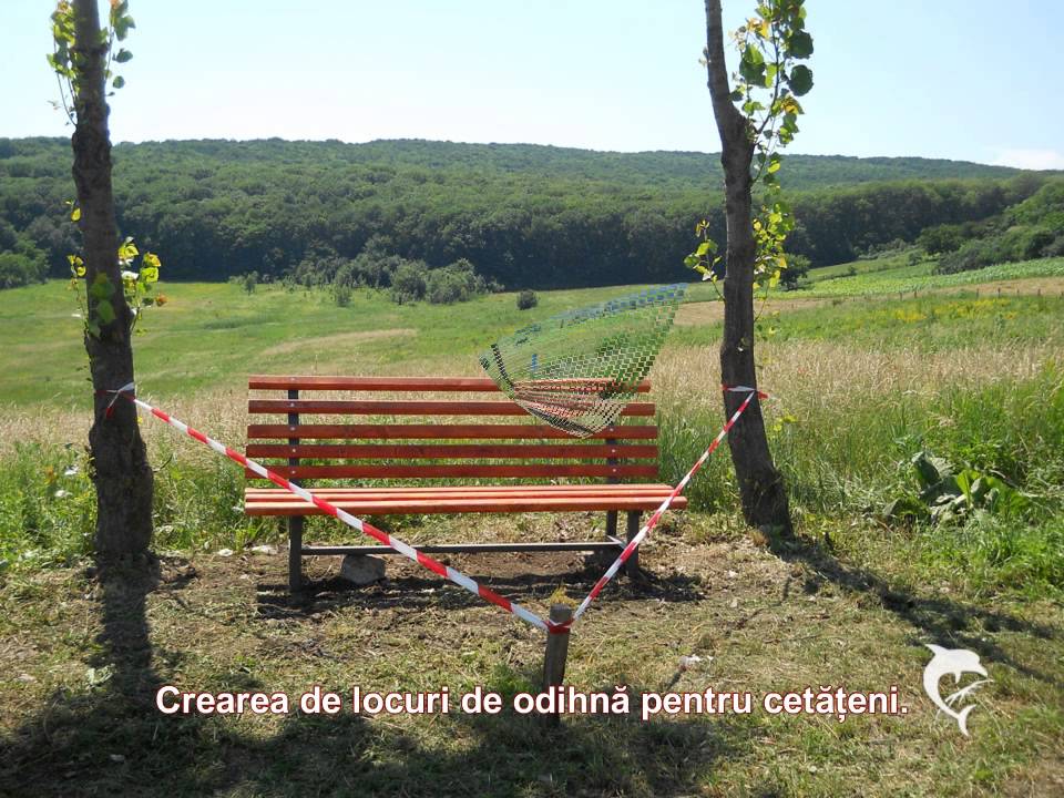 Raport Primar Hilișeu-Horia