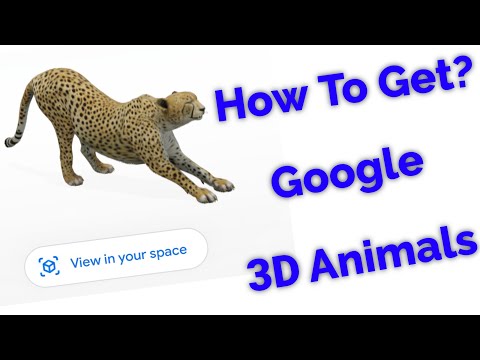 Google 3D animals: Here's how to video record the 3D animals
