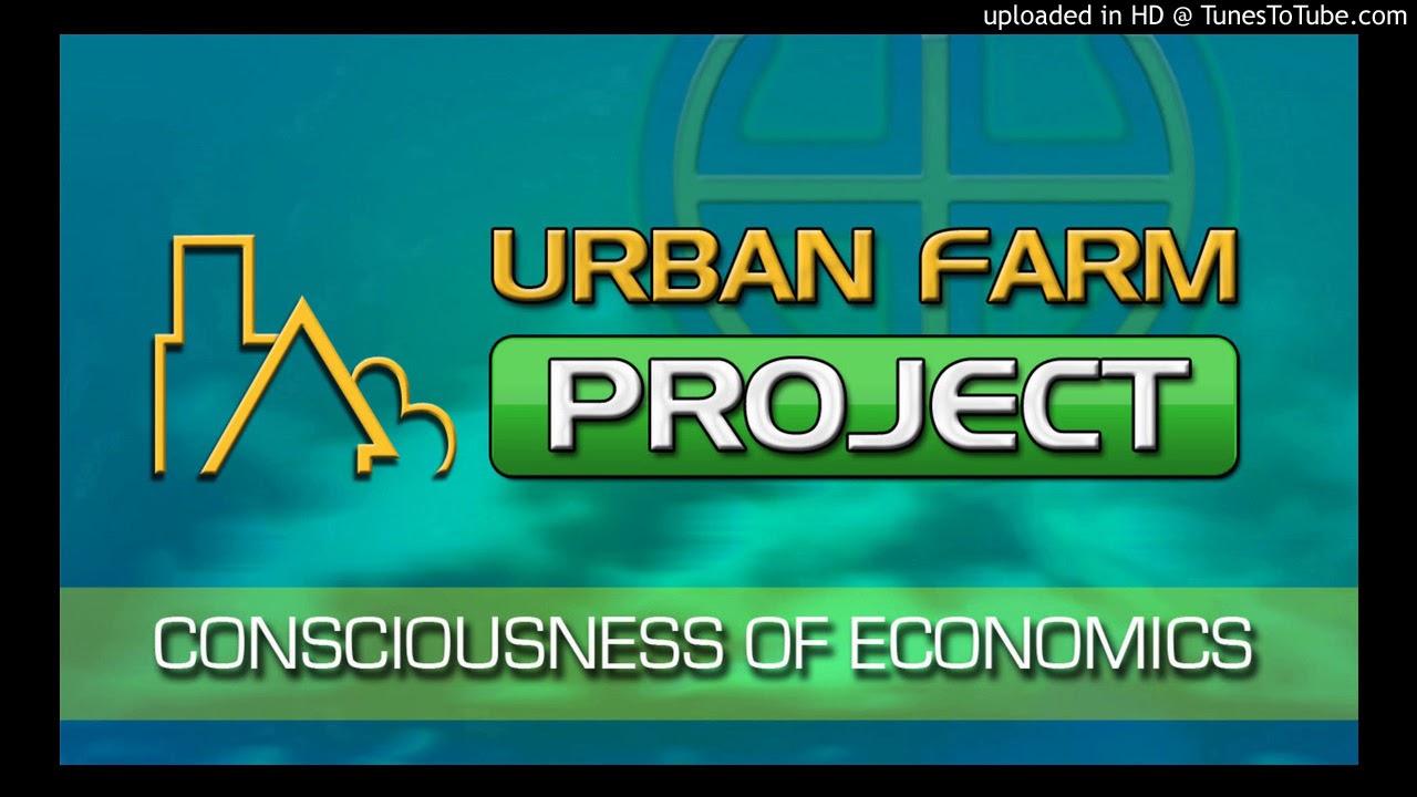 Bridgette Lyn Dolgoff on the Adventures of a Feral Hippy-with Mona Raddler -2018-01-09 (1)