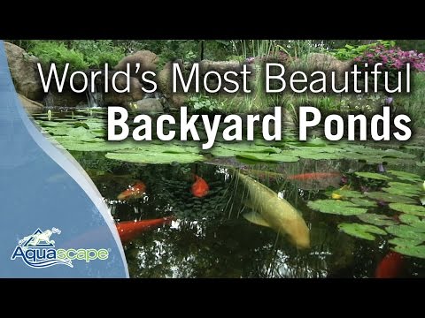 World&rsquo;s Most Beautiful Backyard Ponds