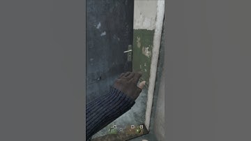 Is This How You Play Dayz? #Dayz #Shorts #Esseker