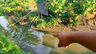Download Lagu Mantap‼️jangankan anda,saya saja gak nyangka kalau parit sedangkal ini ikannya besar besar MP3 Download Lagu Mantap‼️jangankan anda,saya saja gak nyangka kalau parit sedangkal ini ikannya besar besar MP3