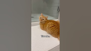 He’s thicker than a snicker 🍫 #shorts