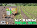 MUD PLANTING WITH A TINY FENDT TRACTOR - Charwell FS19 - Episode 8