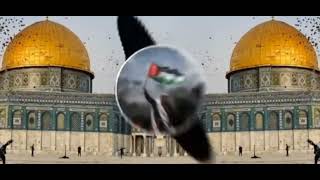 Hothon Per Kuran Sajakar Naat