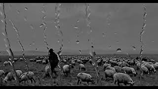 Béla Tarr — The Turin Horse - Quotes + Original Video Edit